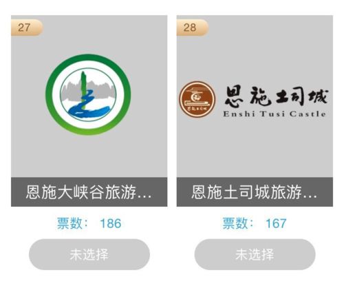 為恩施企業(yè)投票 首屆湖北省文化產(chǎn)業(yè)品牌選樹(shù)活動(dòng)開(kāi)啟